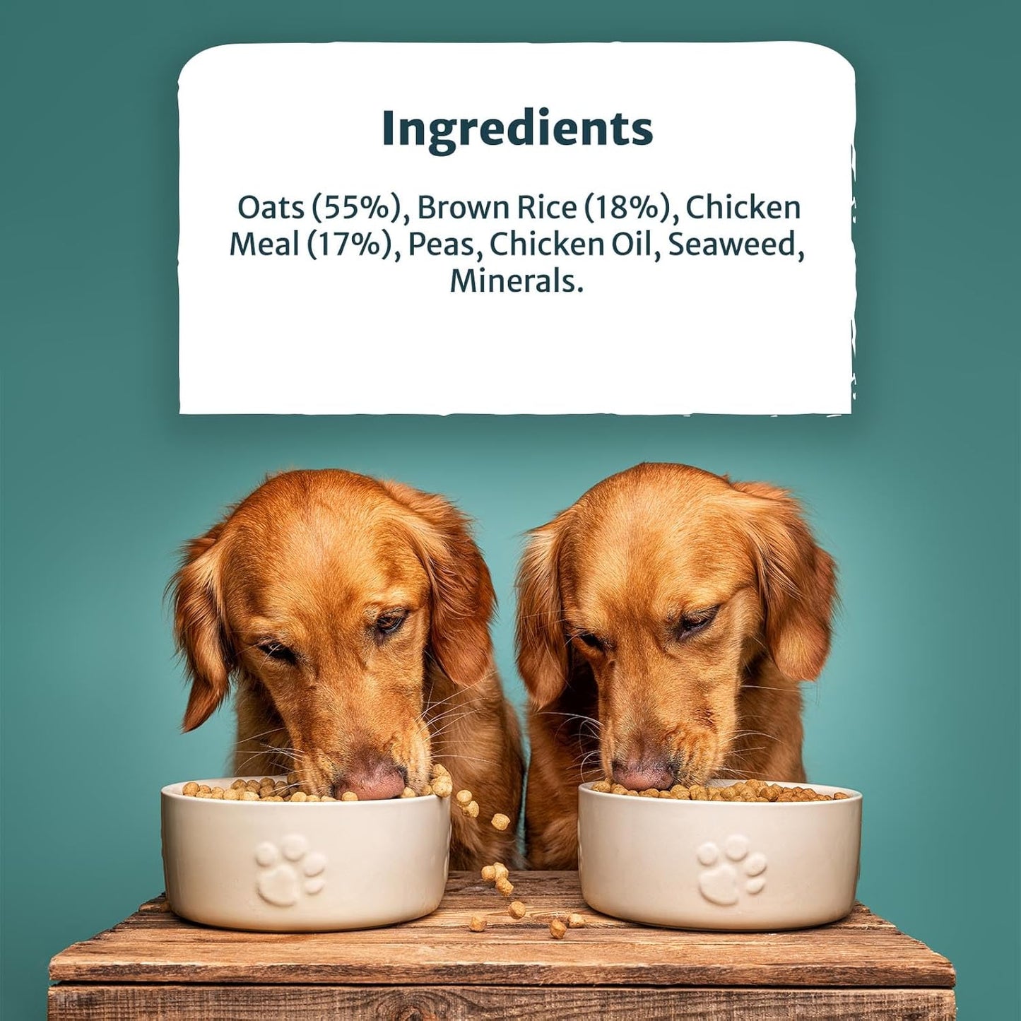 Burns Pet Nutrition Hypoallergenic Complete Dry Dog Food Adult and Senior Dog Weight Control Chicken and Oats 12 kg
