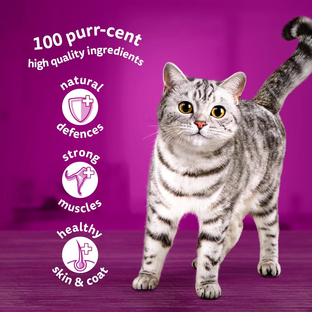 40 X 85G Whiskas 1+ Mixed Menu Mixed Adult Wet Cat Food Pouches in Jelly